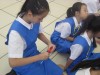 Thumbs/tn_IMG_00140.jpg