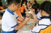 Thumbs/tn_IMG_0777.jpg