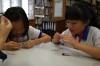 Thumbs/tn_R0000138.jpg