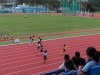 Thumbs/tn_IMG_0805.jpg