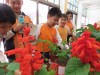 Thumbs/tn_IMG_2697.jpg