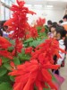 Thumbs/tn_IMG_2718.jpg