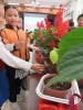 Thumbs/tn_IMG_2729.jpg