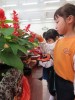 Thumbs/tn_IMG_2731.jpg