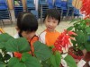 Thumbs/tn_IMG_2735.jpg