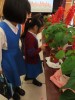 Thumbs/tn_IMG_2741.jpg