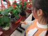 Thumbs/tn_IMG_2742.jpg