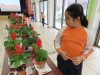 Thumbs/tn_IMG_2836.jpg