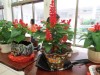 Thumbs/tn_IMG_2838.jpg