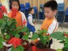 Thumbs/tn_IMG_2843.jpg