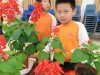 Thumbs/tn_IMG_2844.jpg
