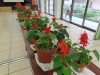 Thumbs/tn_IMG_2870.jpg