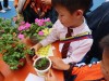 Thumbs/tn_IMG_6089.jpg