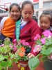 Thumbs/tn_IMG_6094.jpg