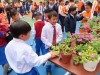 Thumbs/tn_IMG_6117.jpg