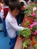 Thumbs/tn_IMG_6118.jpg