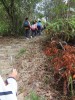 Thumbs/tn_IMG_0868.jpg