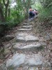Thumbs/tn_IMG_0890.jpg