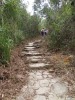 Thumbs/tn_IMG_0891.jpg