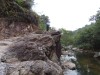 Thumbs/tn_IMG_0896.jpg