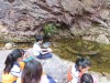 Thumbs/tn_IMG_0904.jpg