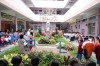 Thumbs/tn_DSC07106.jpg