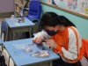 Thumbs/tn_DSC03610.jpg