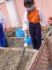 Thumbs/tn_DSC03876.jpg