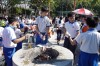 Thumbs/tn_DSC00891.jpg