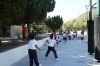 Thumbs/tn_DSC01046.jpg