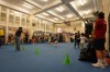Thumbs/tn_DSC03943.jpg