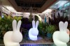 Thumbs/tn_DSC04683.jpg