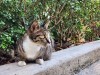 Thumbs/tn_20241206_151211.jpg