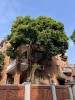 Thumbs/tn_IMG_0633.jpg