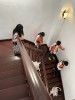 Thumbs/tn_IMG_0664.jpg